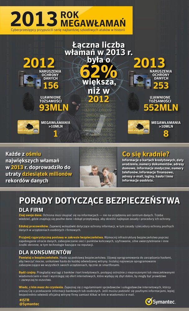megawłamania 2013 infografika