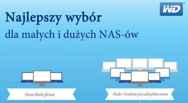 Dobór dysków z serii WD Red - kliknij aby powiększyć infografikę. [źródło WD]