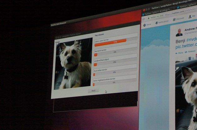 Uczestnicy konferencji wysyłali na bieżąco przez tweetera zdjęcia psów. Sieć neuronowa rozpoznawała jaka to rasa.