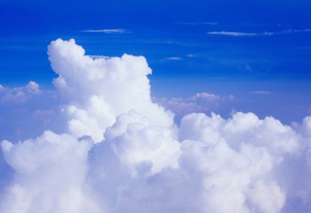 Cloud Computing [źródło: SAP]