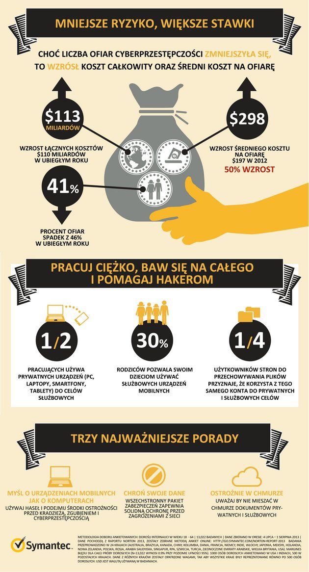 Raport Norton 2013 infografika 2