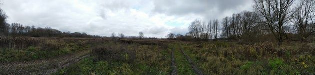 Nokia 7.1 panorama