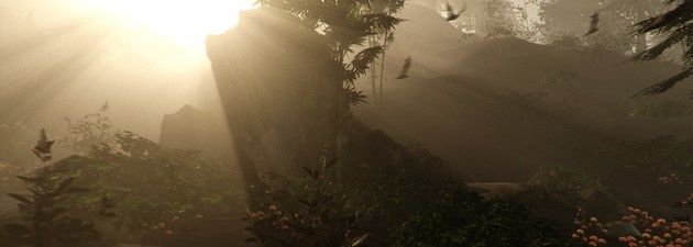 The Forest gra