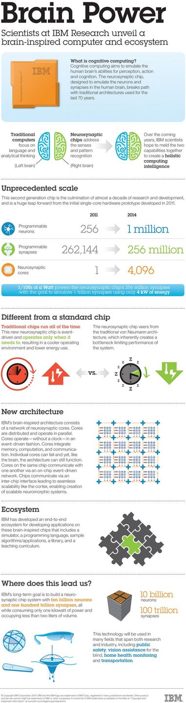 SyNAPSE infografika