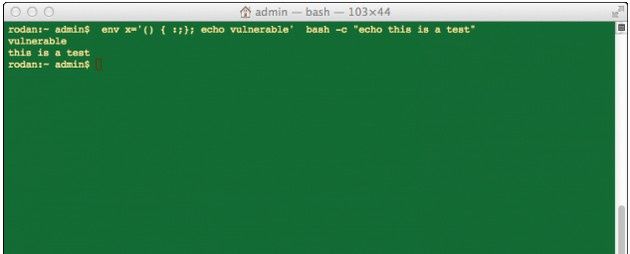 Bash OS X