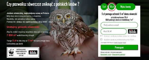 BLIK sóweczka