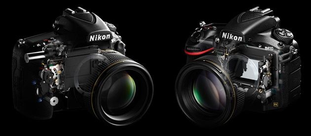 Nikon D810 przekrój przód bok