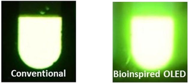 KAIST OLED porównanie