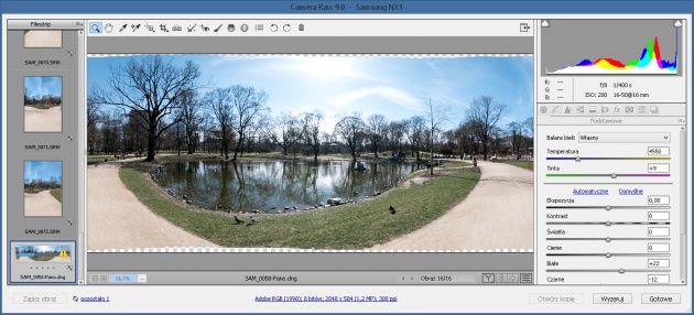 Adobe Camera RAW panorama
