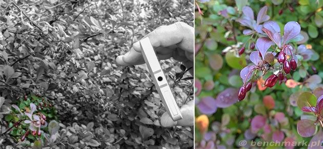 Nokia Lumia 930 makro