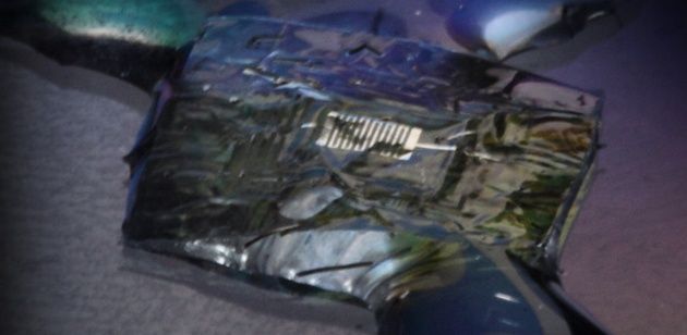 DARPA chip
