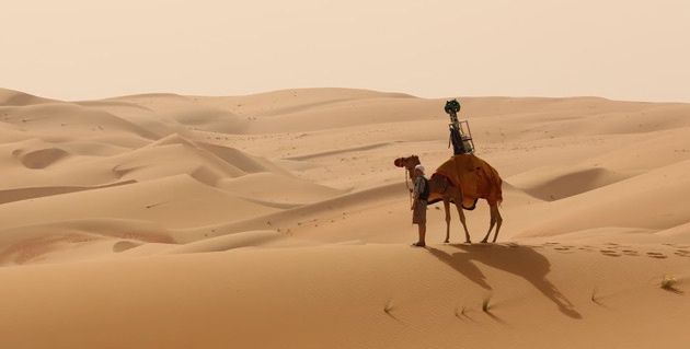Google Street View wielbłądzica Raffia
