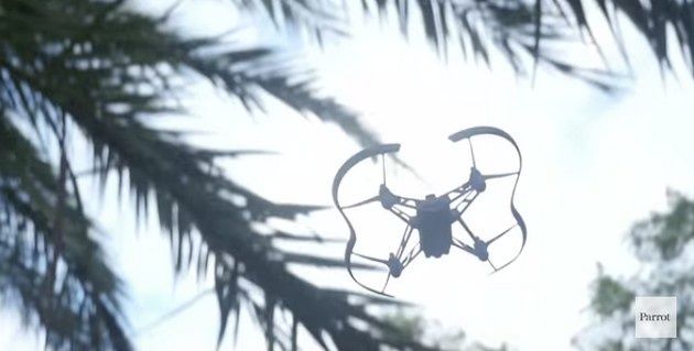 Parrot dron