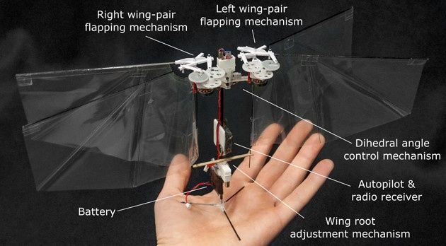 DelFly Nimble info