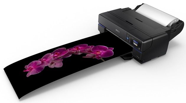 Epson SC-P800 druk z rolki