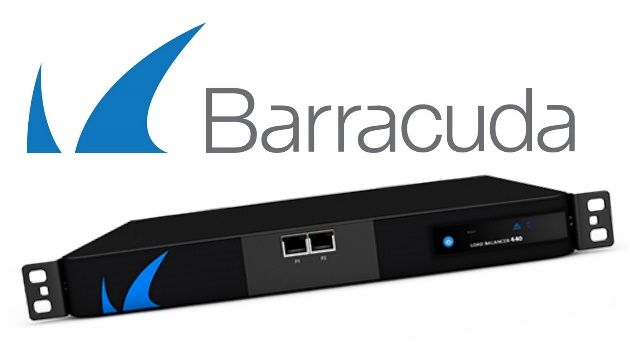 Barracuda