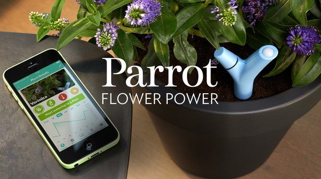 Parrot doniczka