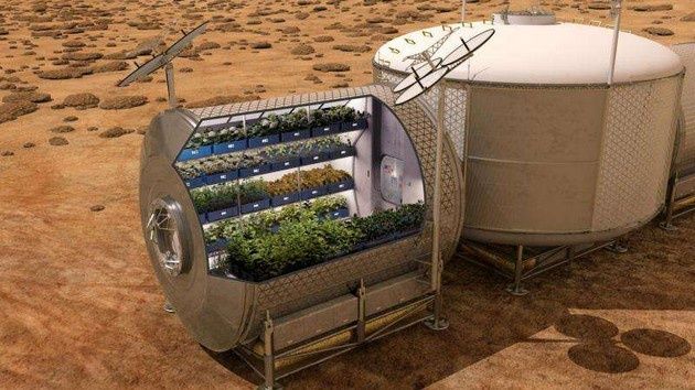 Veggie Mars
