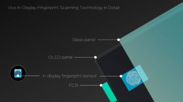 Smartfon z czytnikiem linii papilarnych wbudowanym w ekran