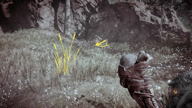 Far Cry Primal - zmiana widoku w trybie instynktu