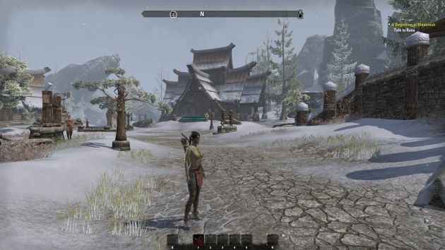 Elder Scrolls Online (beta)