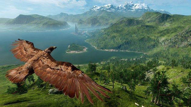 WiLD orzeł