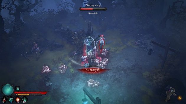 Diablo III: Przebudzenie Nekromantów - 12 zabitych