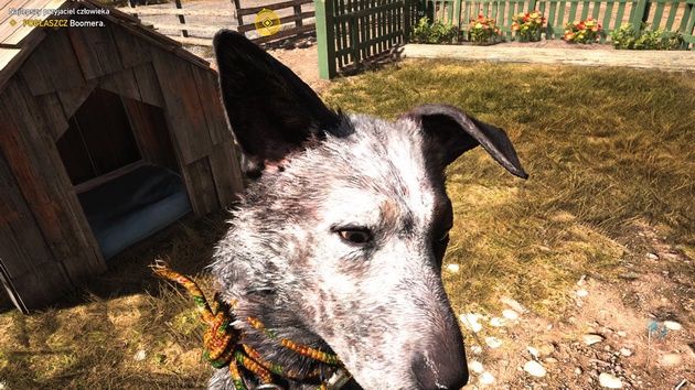 Far Cry 5 - psiak Boomer