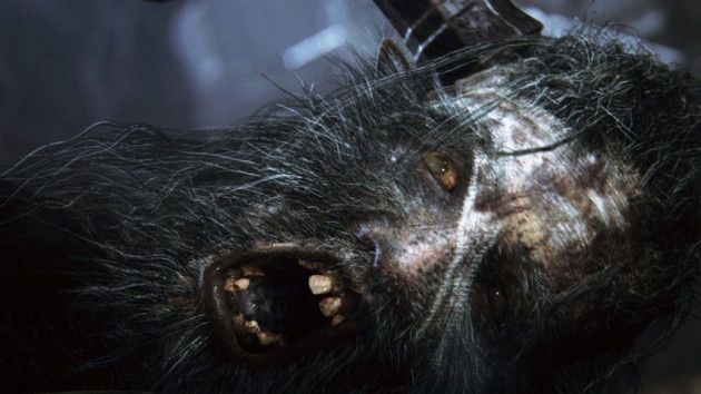 Bloodborne gra