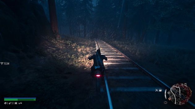 Days Gone - jazda w nocy