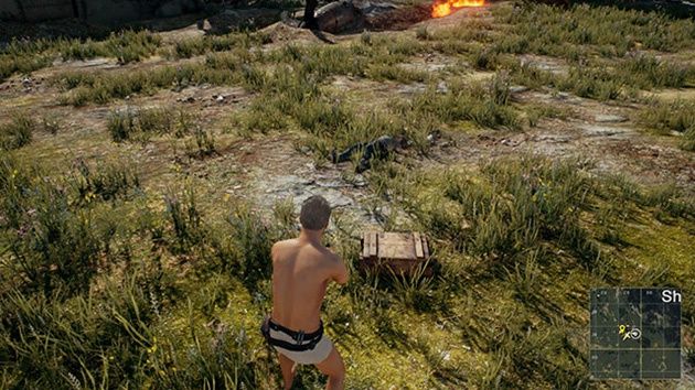 playerunknowns