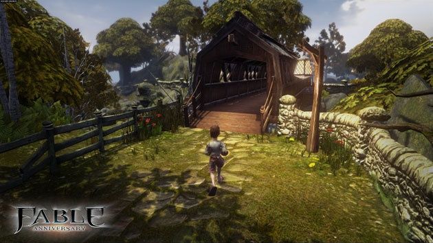 Fable Anniversary - gra