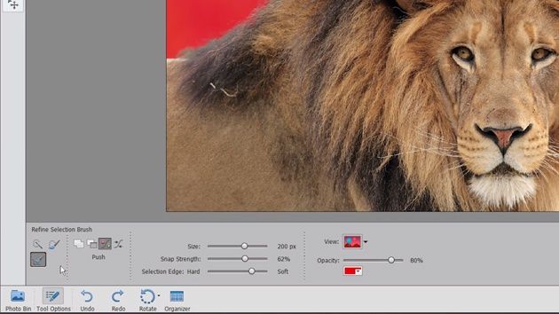 Adobe Photoshop Elements 14 zaznaczanie
