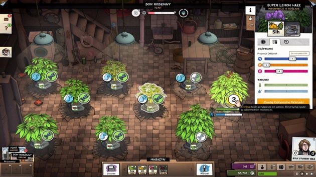 Weedcraft Inc - uprawy