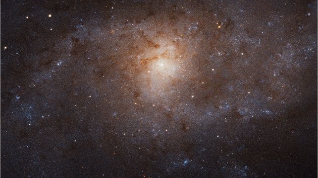 M33 w obiektywie Hubble