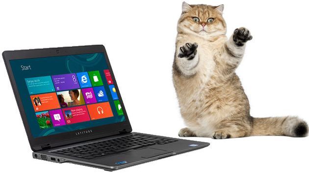 Dell Latitude 6430u kot grafika