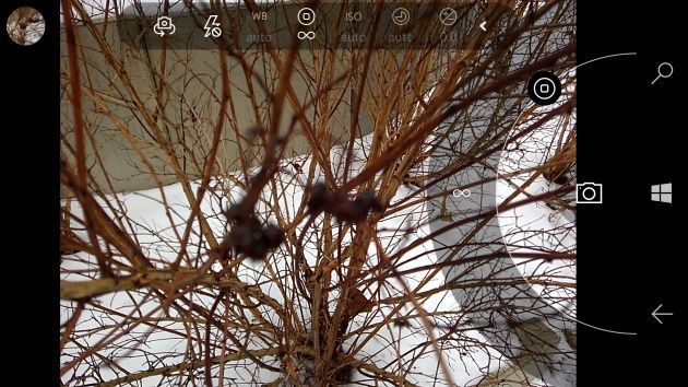 Lumia 950 kamera ostrość ręczna