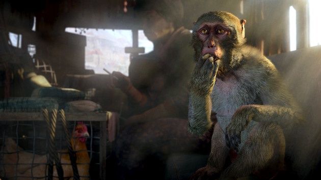 Far Cry 4 gra