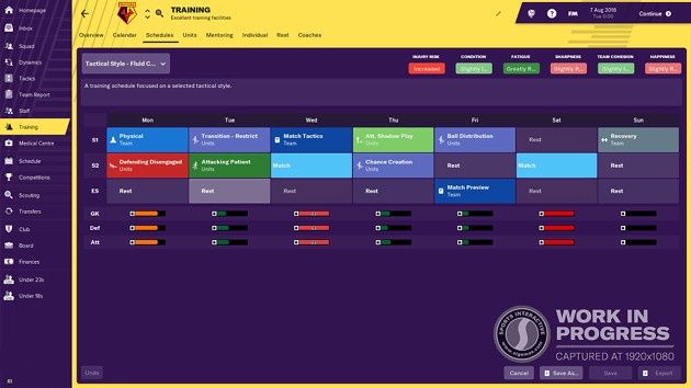 Football Manager 2019 trening