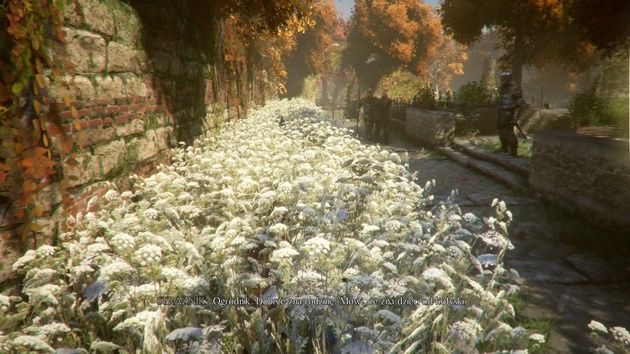 A Plague Tale: Innocence - krycie się po zaroślach