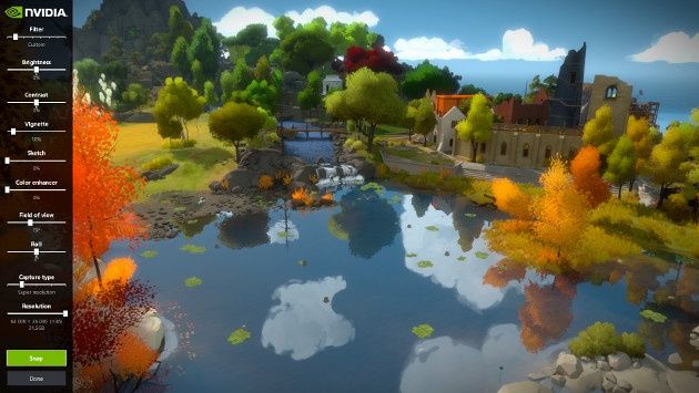 The Witness Ansel