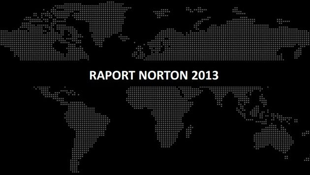 Raport Norton 2013