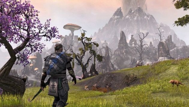 The Elder Scrolls Online gra abonament