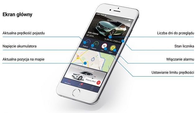 Ferguson Car Assistant - test i recenzja