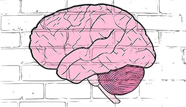 Neurogra mózg