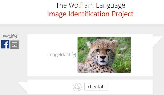 Wolfram II cheetah