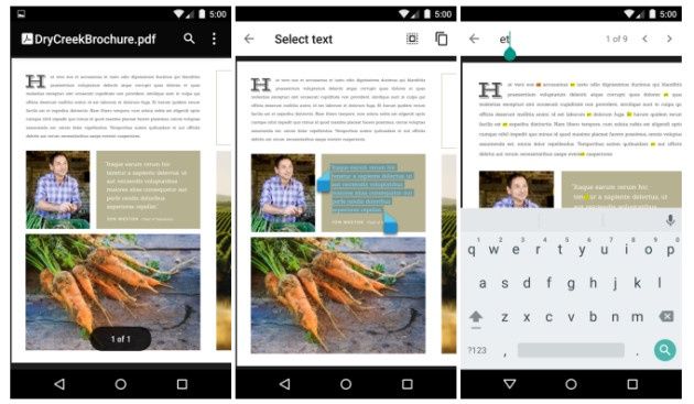 PDF Viewer