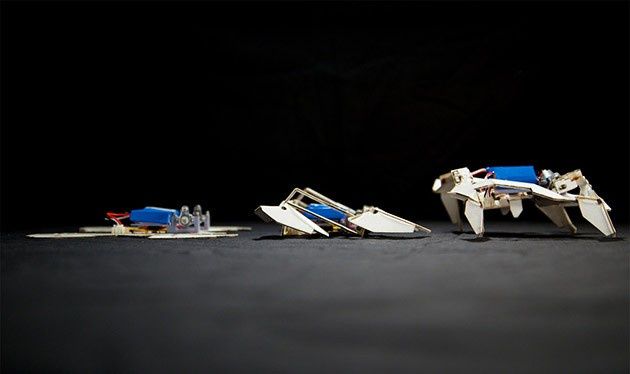 Robot origami