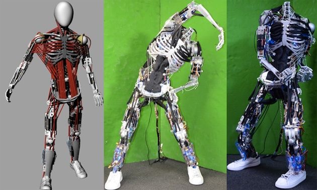 Kenshiro humanoidalny robot