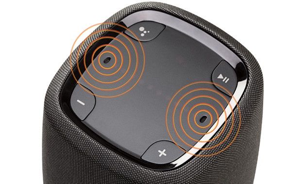 Polk Assist góra